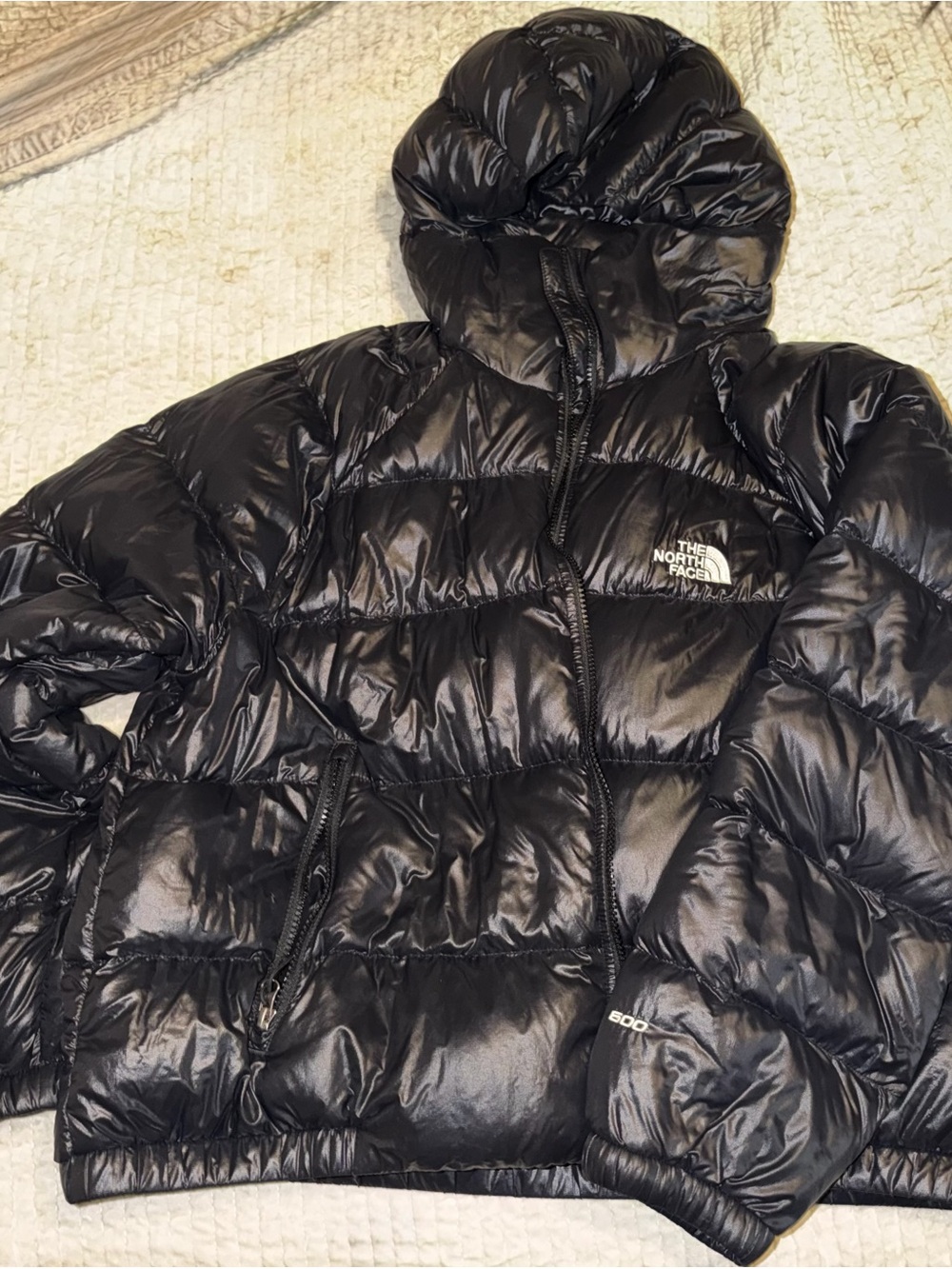 The North Face Women's Hydrenalite Down Hoodie (Puffer Coat)